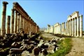 Image for Great Colonnade at Apamea, Syria