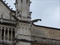 Image for Gargouilles  Cathedrale Saint Pierre - Poitiers, Nouvelle Aquitaine, France
