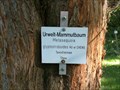 Image for Mammutbaum Arboretum HFR, Rottenburg, Germany, BW