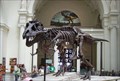 Image for Sue - Field Museum - Chicago, Illinois