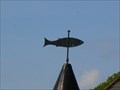 Image for New Abbey Corn Mill fish vane, Dumfriesshire