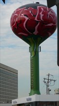 Image for Rosemont Water Tower - Rosemont, IL