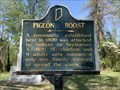 Image for Pigeon Roost
