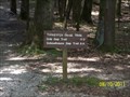 Image for Turkeypen Ridge Trail (Laurel Creek Road end) - Great Smoky Mountains National Park, TN