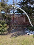 Image for Olympic Rings  -  Holland, Michigan USA
