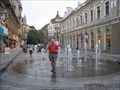 Image for Street Fountain, Oradea, Romania
