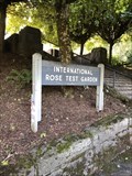 Image for Portland International Rose Test Garden has fallen from grace, former caretaker says