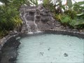 Image for Arenal Hot Springs  -  Fortuna, Costa Rica