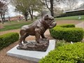 Image for Bulldog - Barton College - Wilson, North Carolina