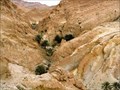 Image for Chebika Canyon - Chebika, Tunisia