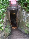 Image for Devil's Den Cave - Williston, FL