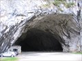 Image for La grotte de Bédeilhac (Ariège) - France