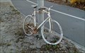 Image for Ghost bike: Drej - Berdychowo - Poznan, Poland