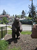 Image for Colfax Bear - Colfax, CA