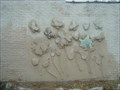Image for Butterflies On A Wall