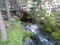 Image for Trapper Creek Springs - Oregon