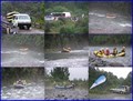 Image for Go White Water Rafting down a Wild River.
