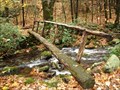 Image for Footbridge - Grassy Branch Trail - Gatlinburg, TN