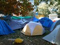 Image for Pikachu at Occupy DC