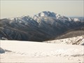 Image for Mount Feathertop
