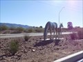 Image for Invisible Horses - Tucson, AZ