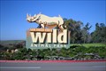 Image for Rare White Rhino Dies at Safari Park  -  Escondido, CA
