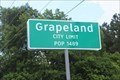 Image for Grapeland, TX - Population 1489