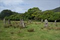 Image for Lochbuie Stone Circle - Isle of Mull, Scotland