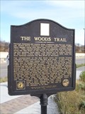 Image for The Woods Trail -- Detroit Lakes, MN