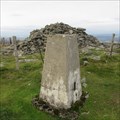 Image for O.S. Triangulation Pillar - Mount Blair, Angus.
