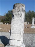 Image for Travis T Baldwin - Mt. Olive Baptist Church Cemetery, Laurens County, SC