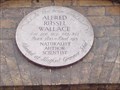 Image for Alfred Russel Wallace, Childhood Home, Hertford