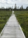 Image for Arctic Circle Boardwalk - Nattavaara, Sweden