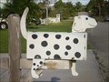 Image for Dalmation
