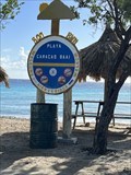 Image for Playa Curacasbaai Beach - Jan Theil, Curacao