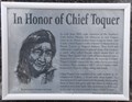 Image for In Honor of Chief Toquer