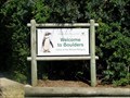 Image for Boulders Penguin Colony - Simon's Town, South Africa