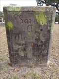 Image for Sarah A. Morris - Perryman Cemetery - Forestburg, TX