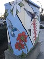 Image for Hummingbird Box - Villa Park, CA