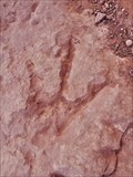 Image for Red Cliffs Dinosaur Track Site — Harrisburg, UT