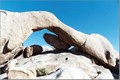 Image for Joshua Tree National Park - Arch Rock