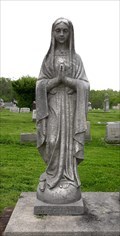 Image for Mary, the Immaculate Conception - Coal Center, PA