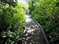 Image for Scout Island Boardwalk - Williams Lake, BC