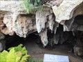 Image for Naracoorte Wet Cave