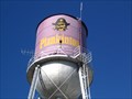 Image for Watertower, Plankinton, South Dakota