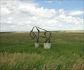 Image for The Bison - Aylesbury (Saskatchewan) Canada
