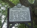Image for Pringle Tree