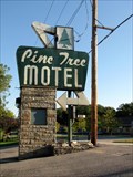 Image for Pine Tree Motel Googie Sign  Lake Geneva WI