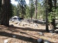 Image for Lodgepole Campground - Sequoia National Park, CA
