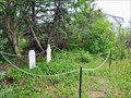 Image for Baggs Family Cemetery, Point Leamington, Newfoundland